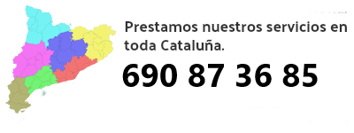 Control de plagas Sant Boi
