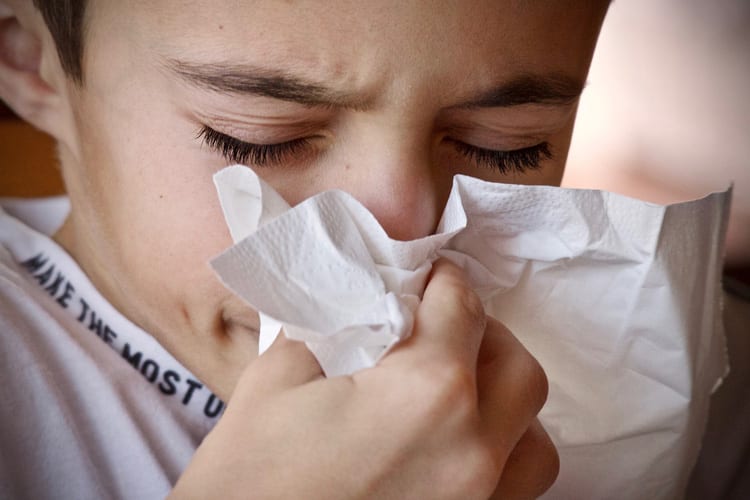 ¿Qué plagas producen alergia?